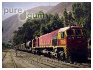 TRAIN INDUSTRY PURE GUM